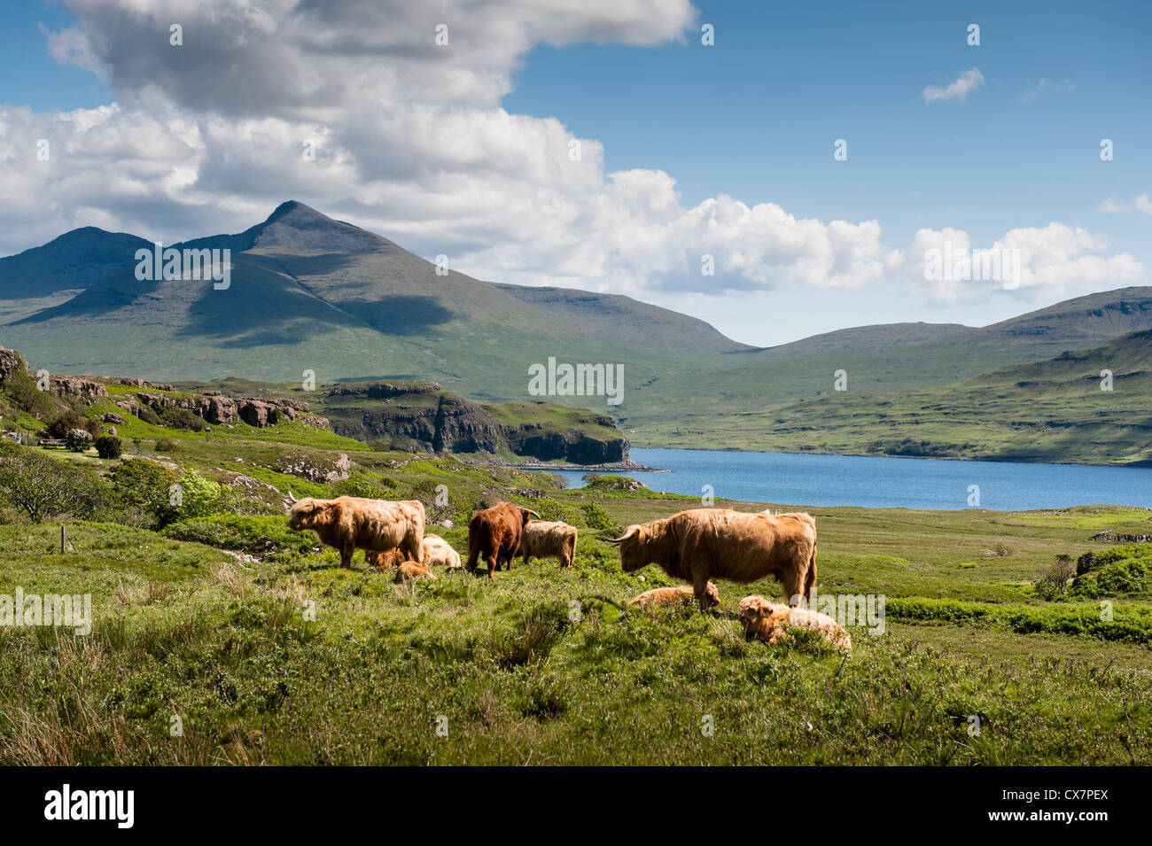 La Scozia è un bellissimo paese pieno di verdi colline, sharp aspre vette e blu scuro lochs. Foto Stock