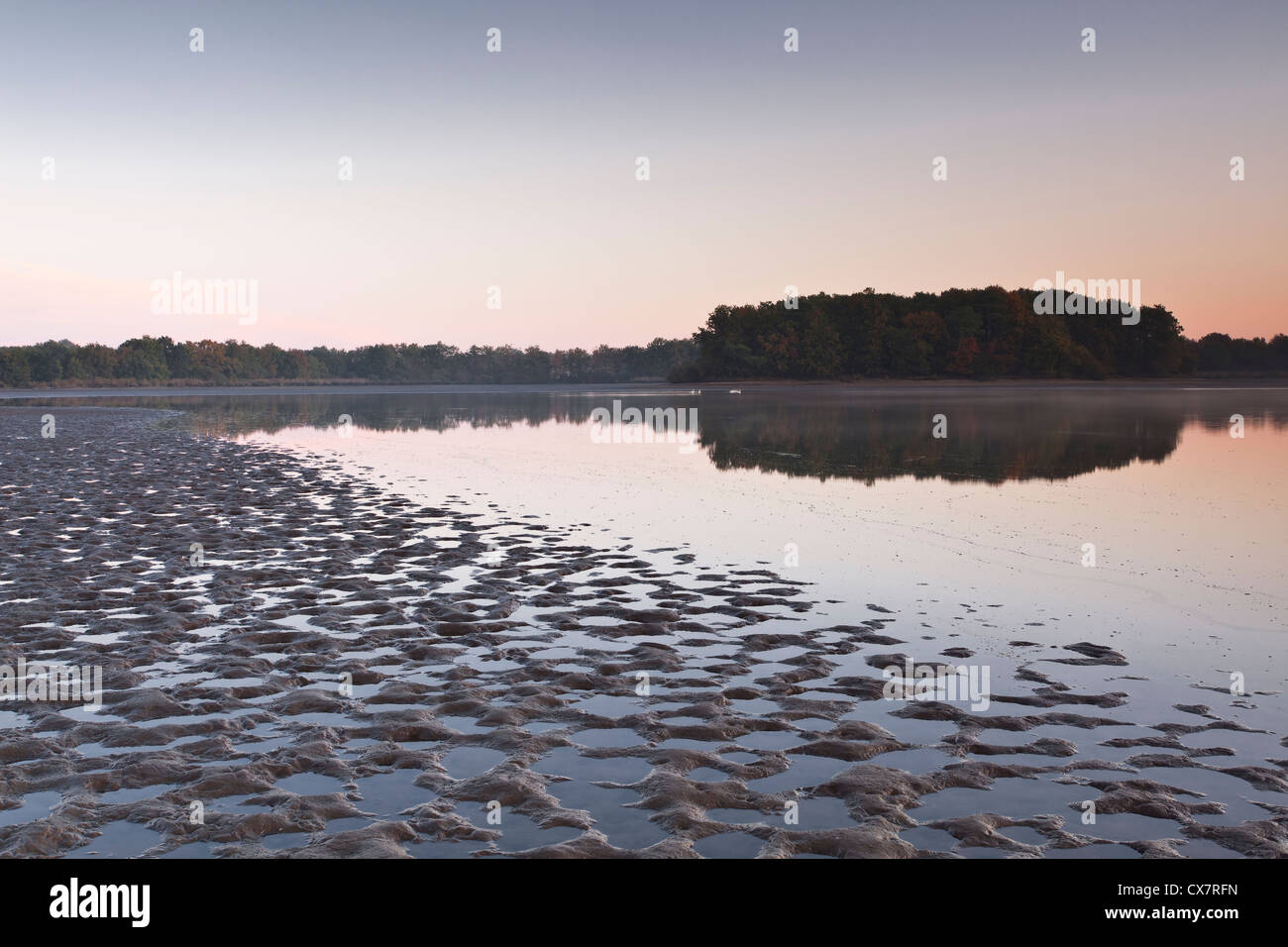 Un lago all'alba in La Brenne area della Francia centrale. Foto Stock