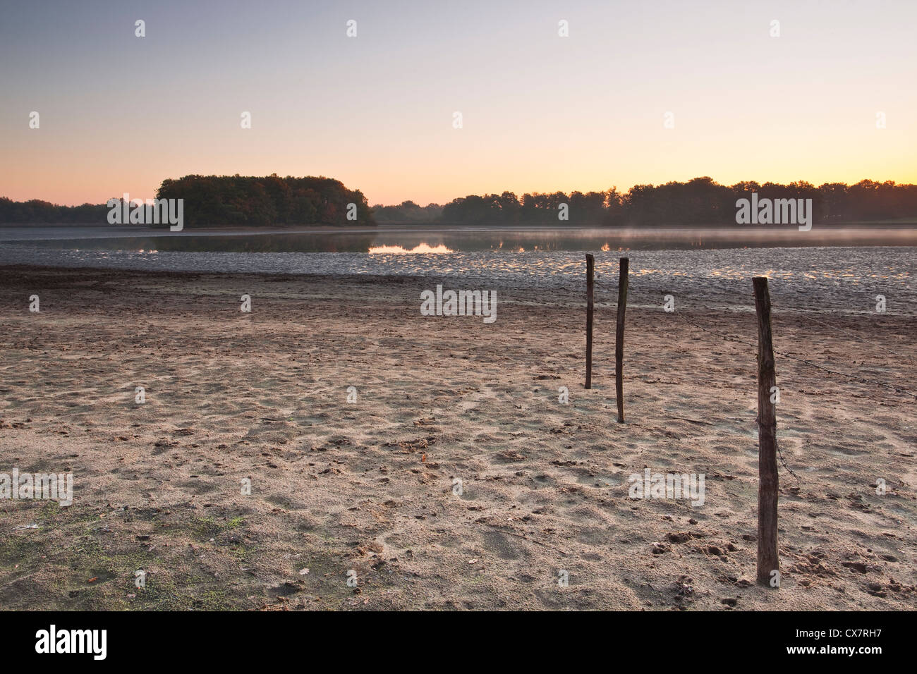 Un lago all'alba in La Brenne area della Francia centrale. Foto Stock