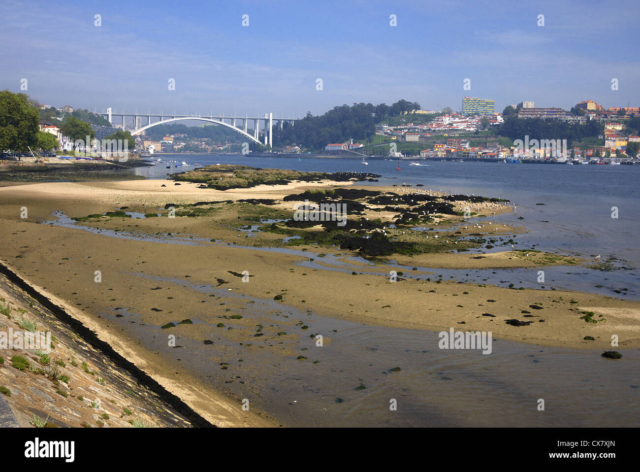Il Rio Douro a Porto, Portogallo, visto dalla parte ovest della città. Foto Stock