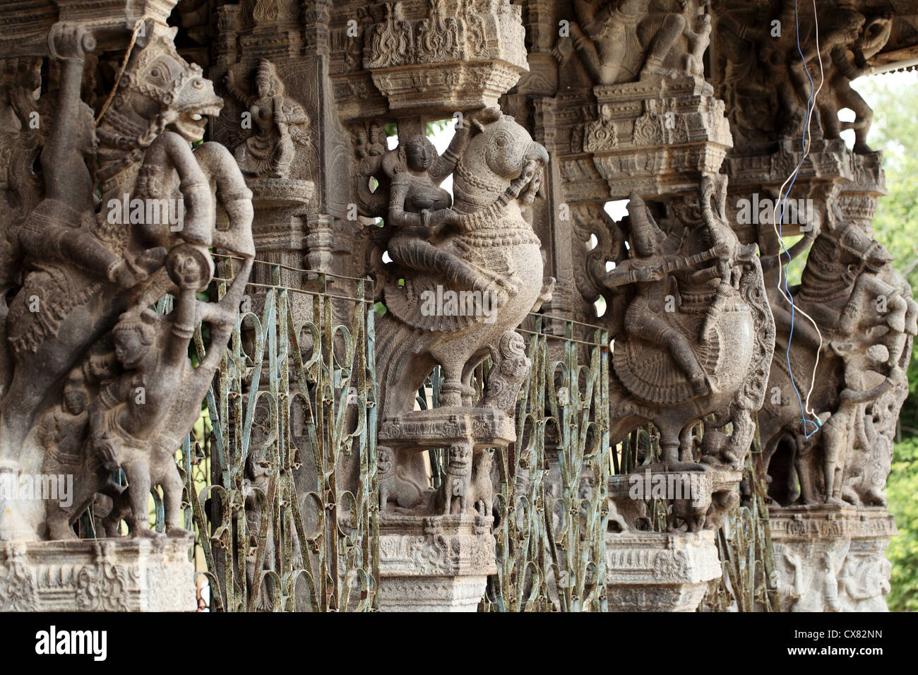 Antiche sculture in pietra nel tempio di Varadaraja. Kanchipuram, Tamil Nadu, India Foto Stock