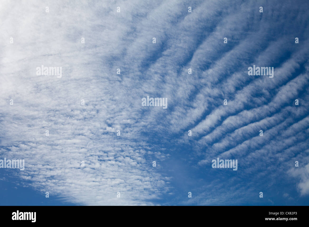 Cirrus cloud sul cielo blu Foto Stock