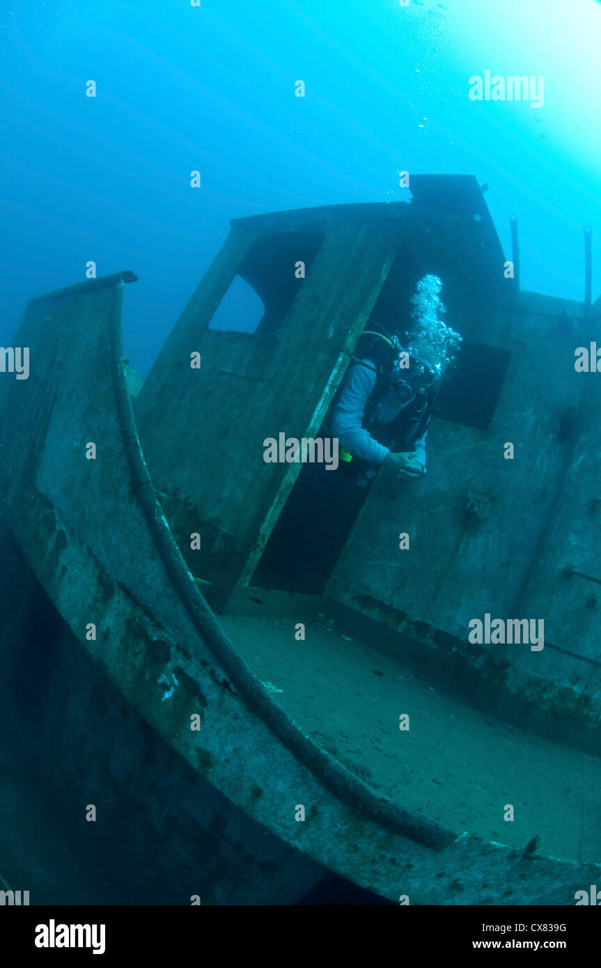 MV Nitzan era un peschereccio con reti da traino che fu affondato per lo scopo di diventare un reef artificiale Foto Stock