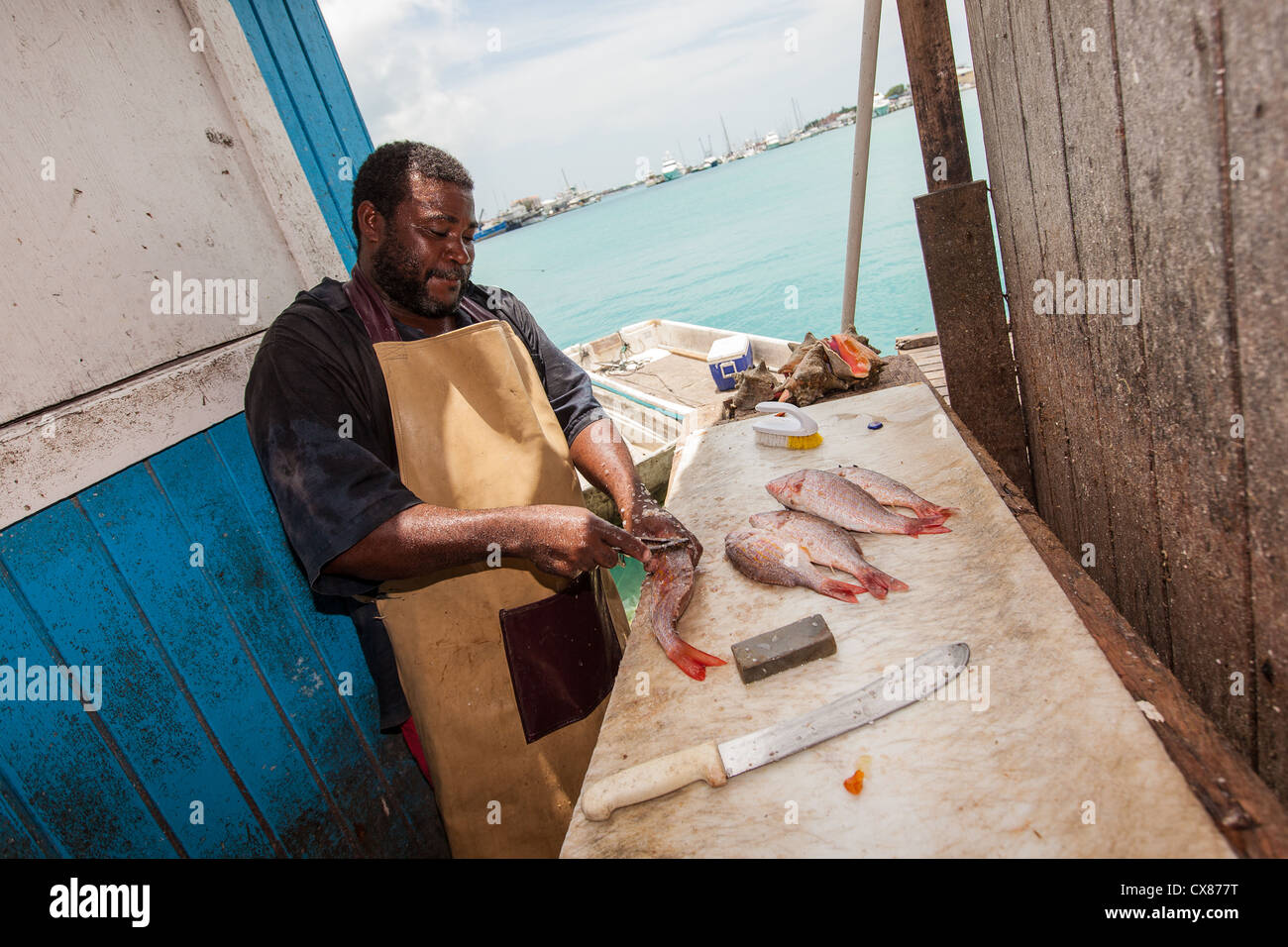 Un pesce delle Bahamas monger prepara appena catturati snapper in corrispondenza di un bordo strada cibo stallo a Potter's Cay a Nassau, Bahamas. Foto Stock