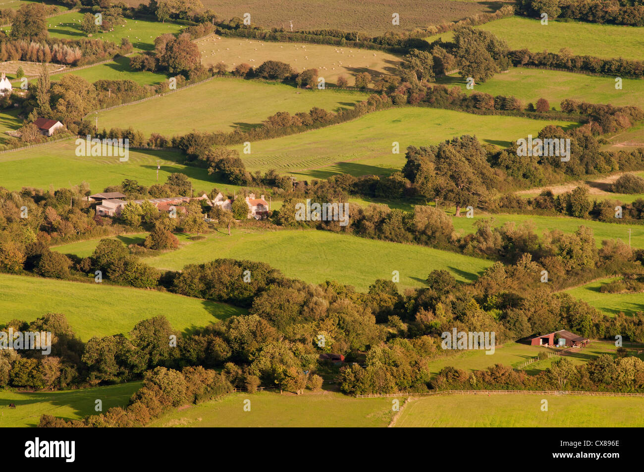 Vista aerea del patchwork trapunte di campi vicino a Bristol Foto Stock