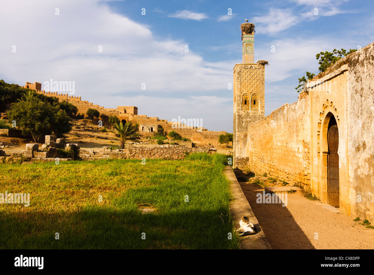 Necropoli Benimerin e rovine romane presso la Chellah, Rabat, Marocco Foto Stock
