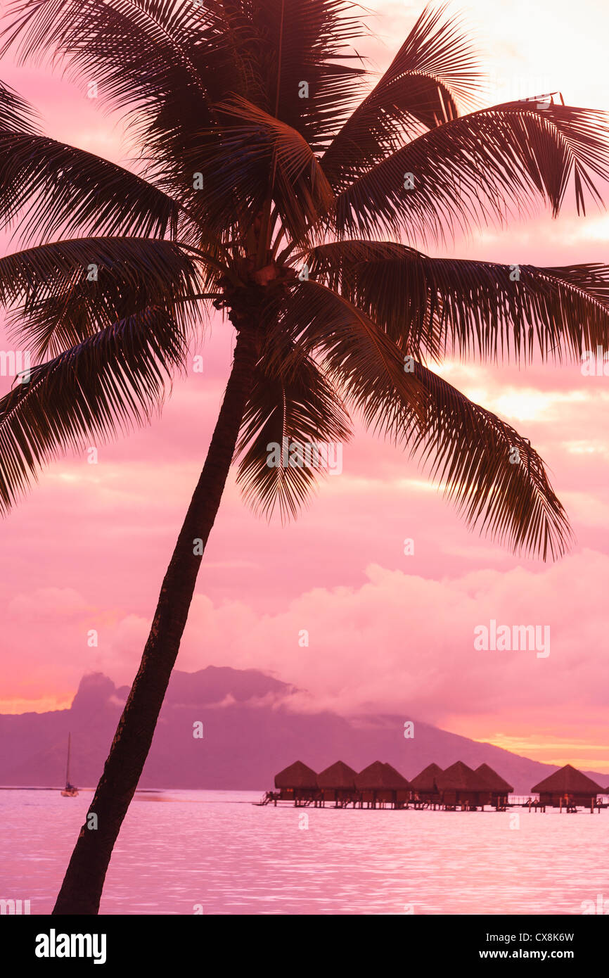 Tramonto su Moorea dal Sofitel Maeva Beach Resort vicino a Papeete, Tahiti Nui Isole della Società Polinesia Francese del Sud Pacifico Foto Stock