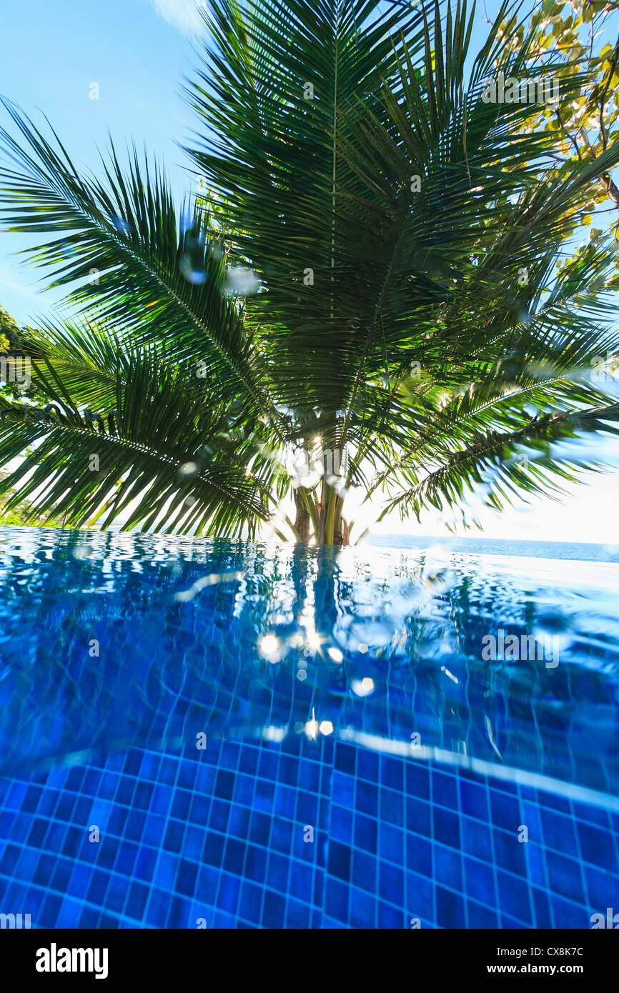 Verso l'alto vista subacquea da Piscina Arue Resort vicino a Papeete, Tahiti Nui Sud Pacifico Foto Stock