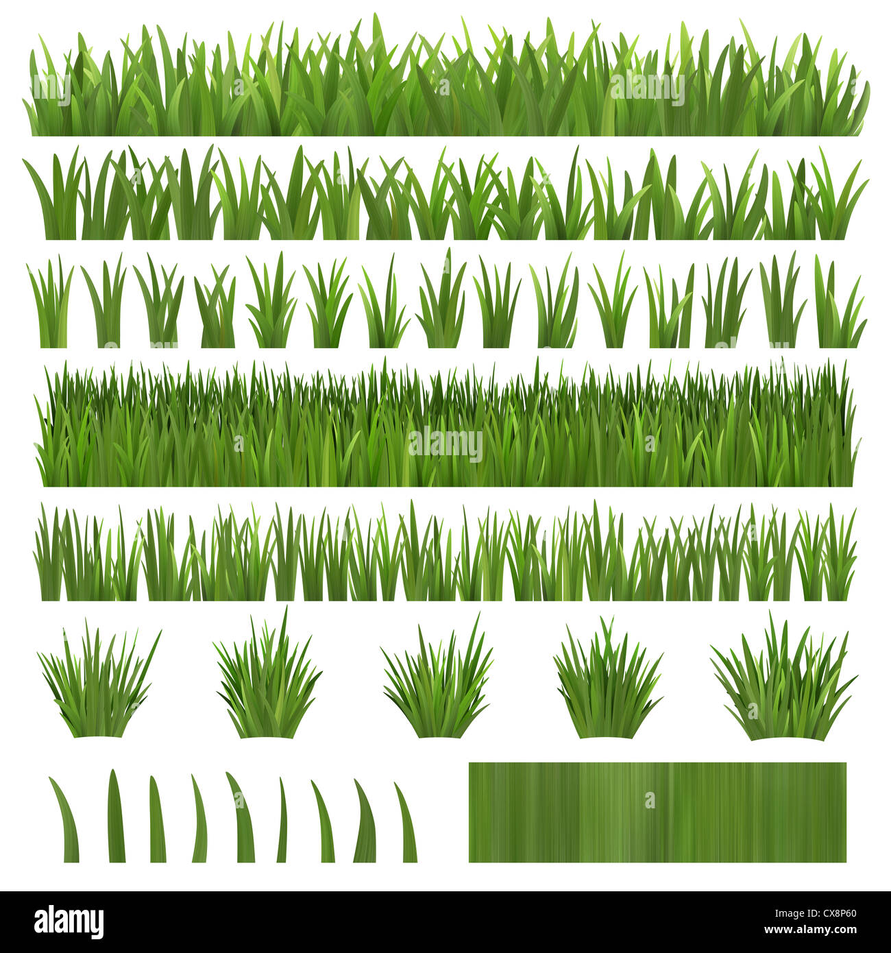 Diversi tipi di erba, forme e texture. Tutte le foglie con texture. Foto Stock