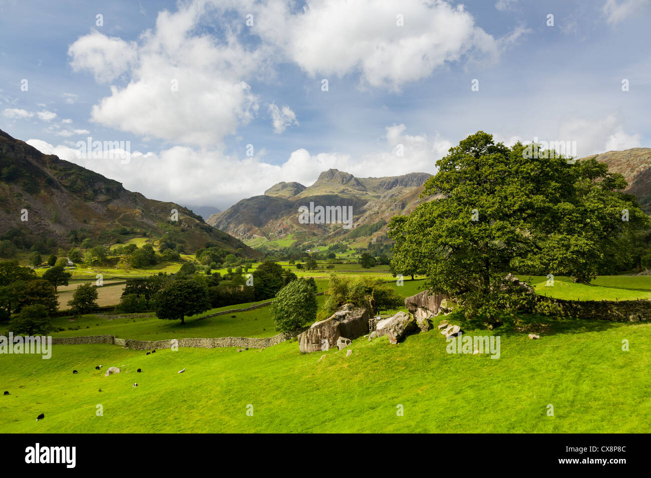 Langdale Pikes in The Langdale Valley Lake District inglese Foto Stock