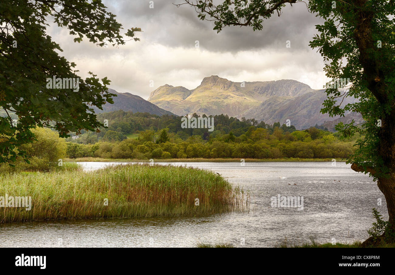 Il sorgere del sole e illuminando Langdale Pikes con acqua Elter in primo piano Foto Stock