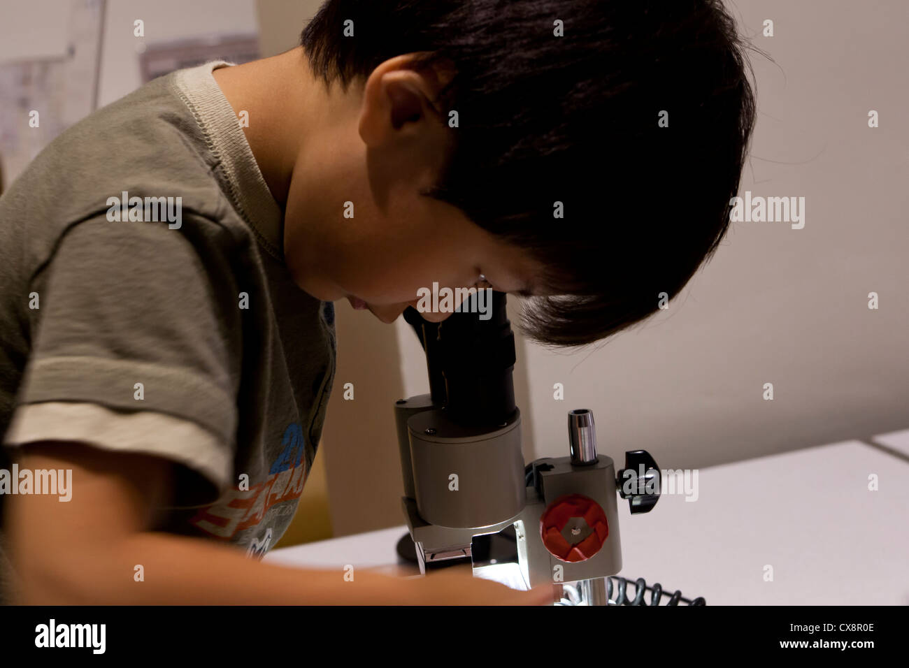 Bambino Piccolo cercando nell'oculare del microscopio Foto Stock