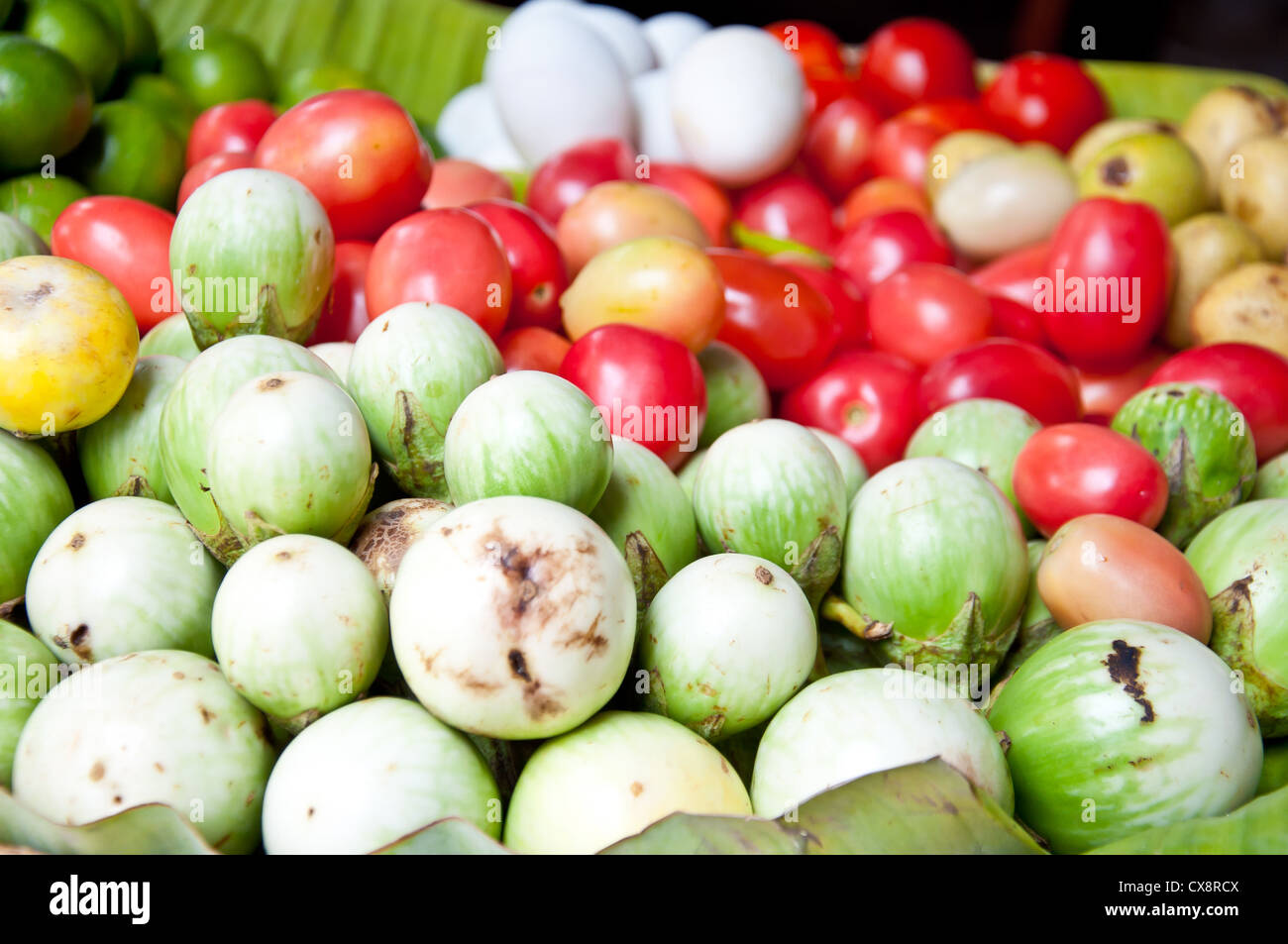 Verde la melanzana e il pomodoro Foto Stock