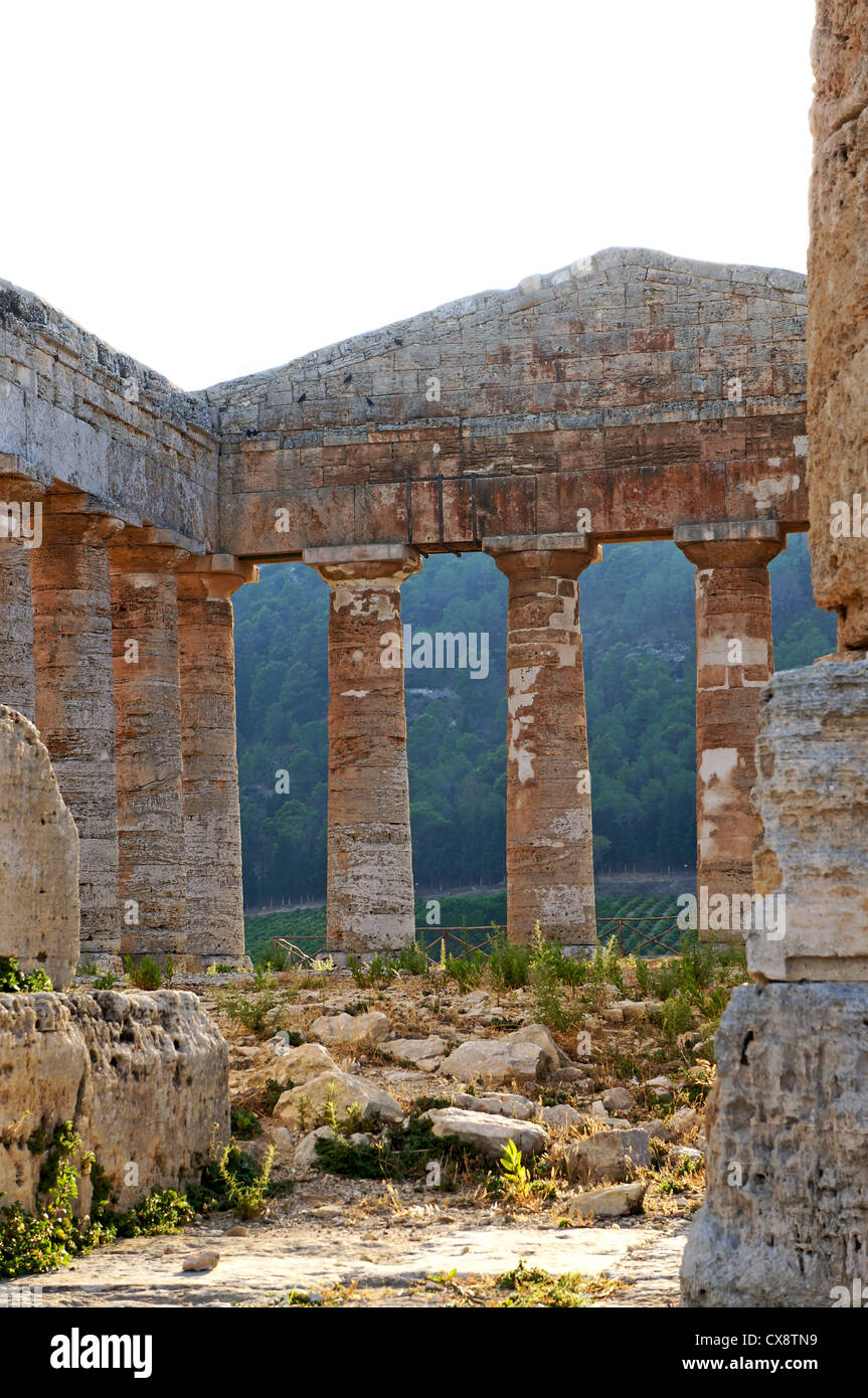 Vista interna del tempio di Segesta con il suo frontone e monumentali colonne Foto Stock