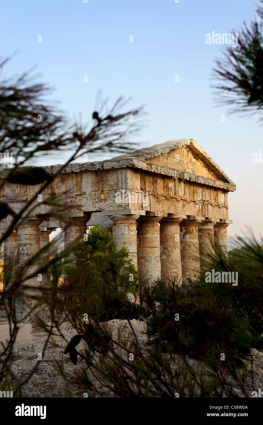 Vista del tempio greco di Segesta in Sicilia attraverso la vegetazione del sito Foto Stock