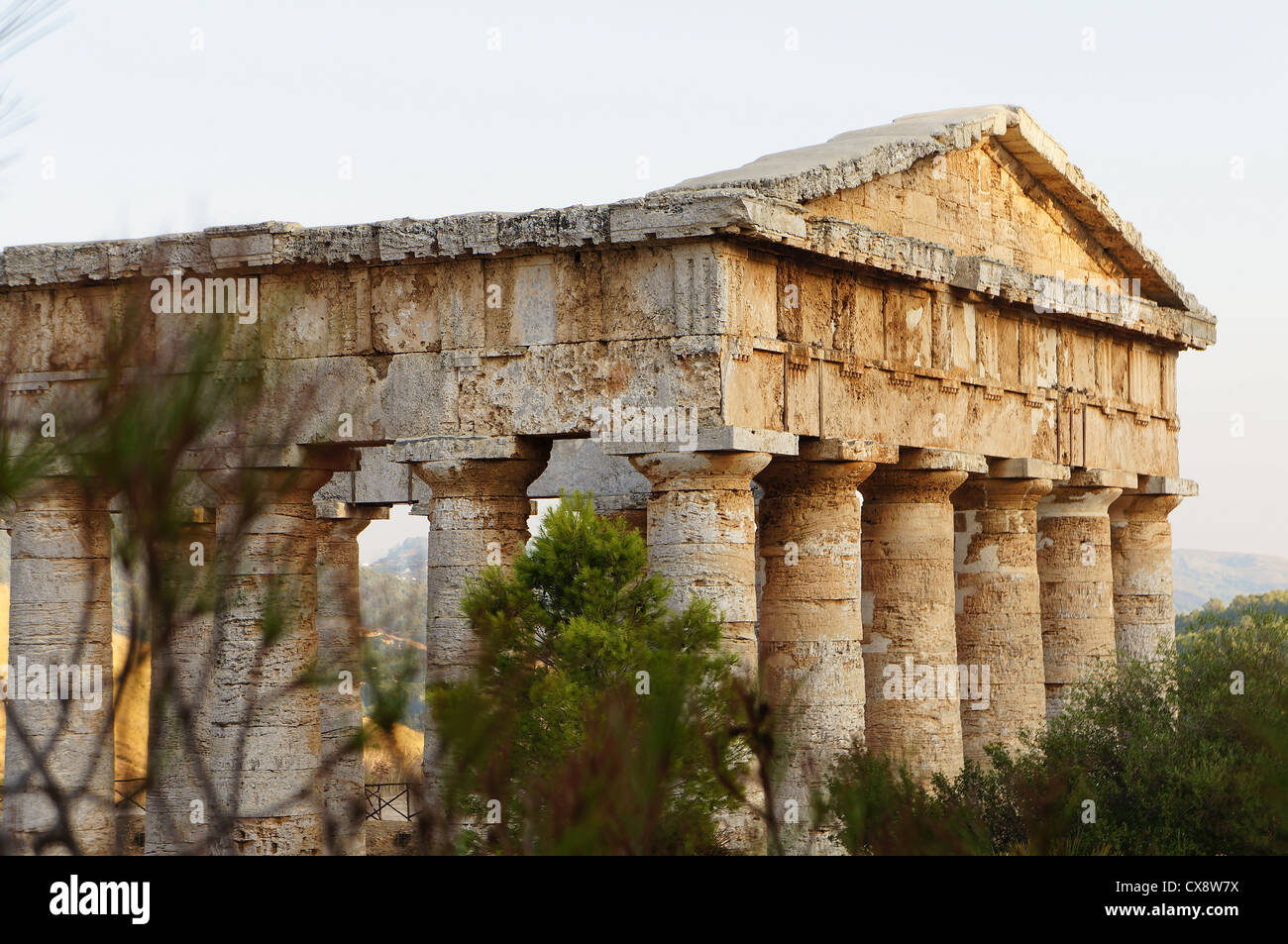 Vista del tempio greco di Segesta in Sicilia attraverso la vegetazione del sito Foto Stock