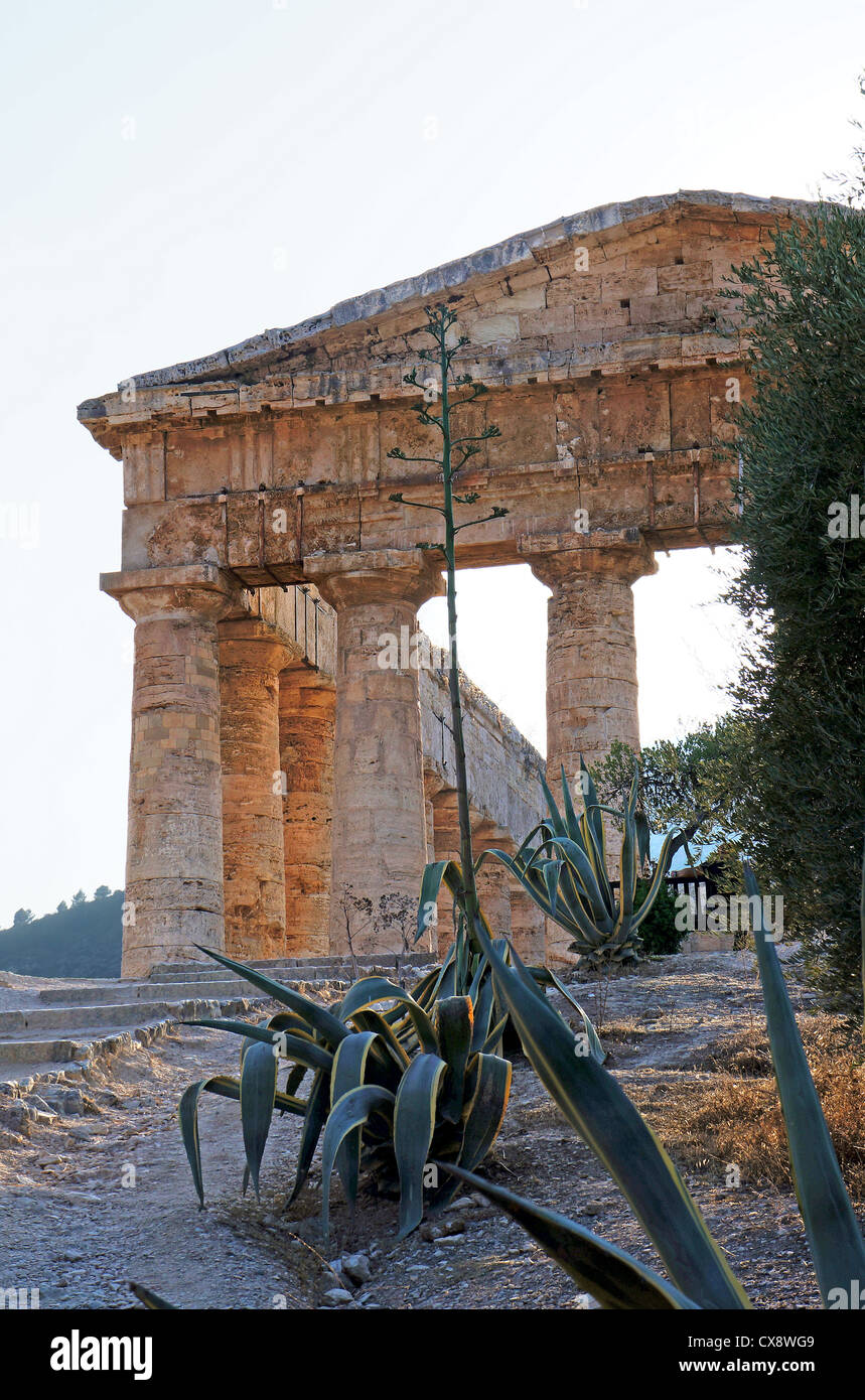 Vista della facciata monumentale del Tempio greco di Segesta in Sicilia Foto Stock