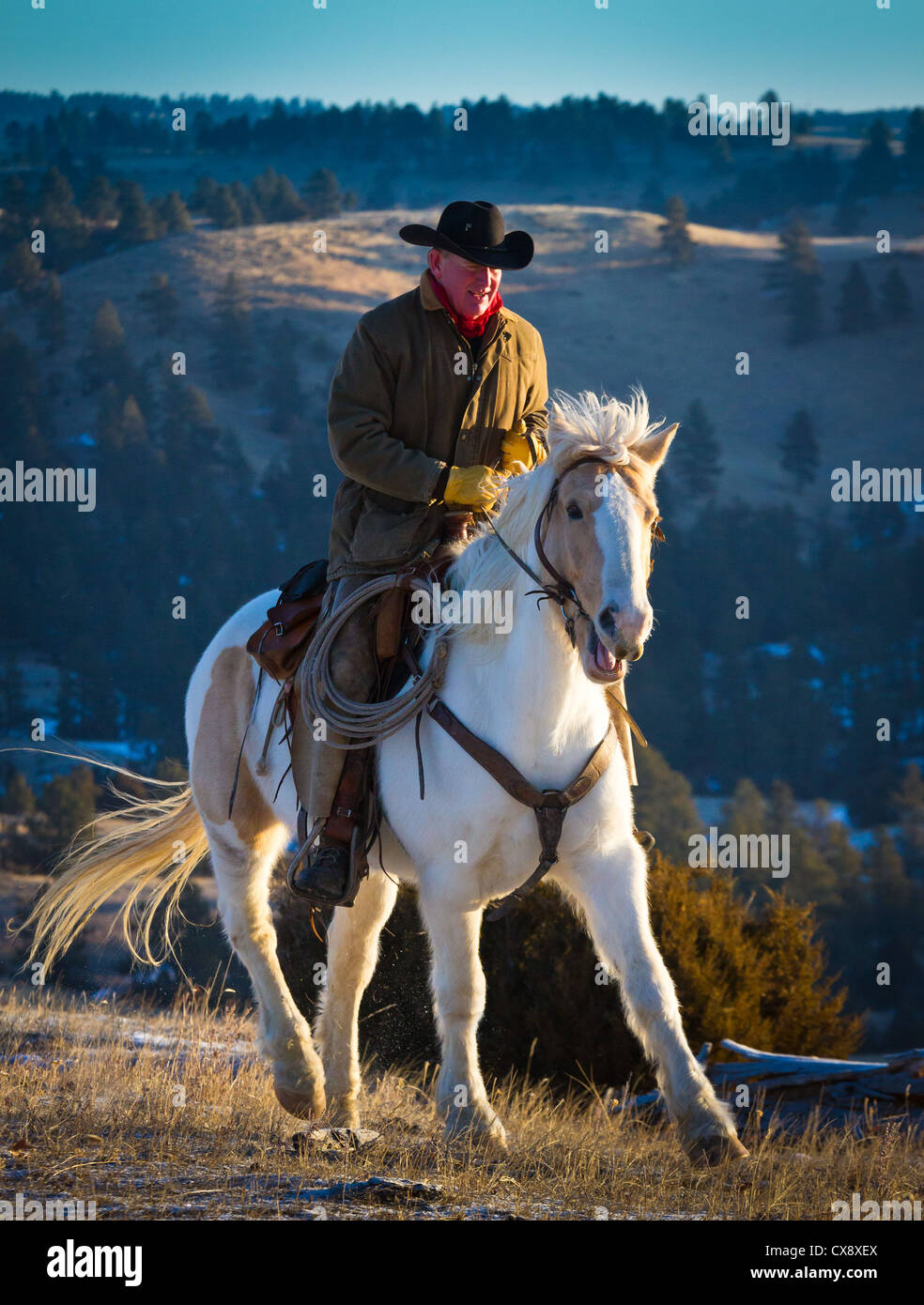 Cowboy a cavallo in un ranch nel nord-est del Wyoming Foto Stock