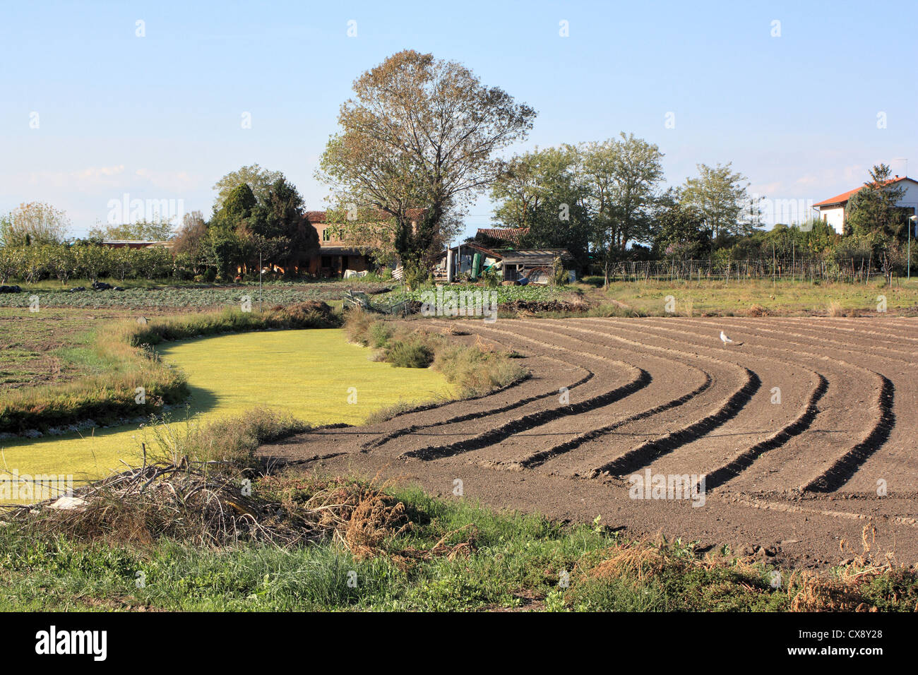 Isola di Sant'Erasmo isola della Laguna Veneta Foto Stock