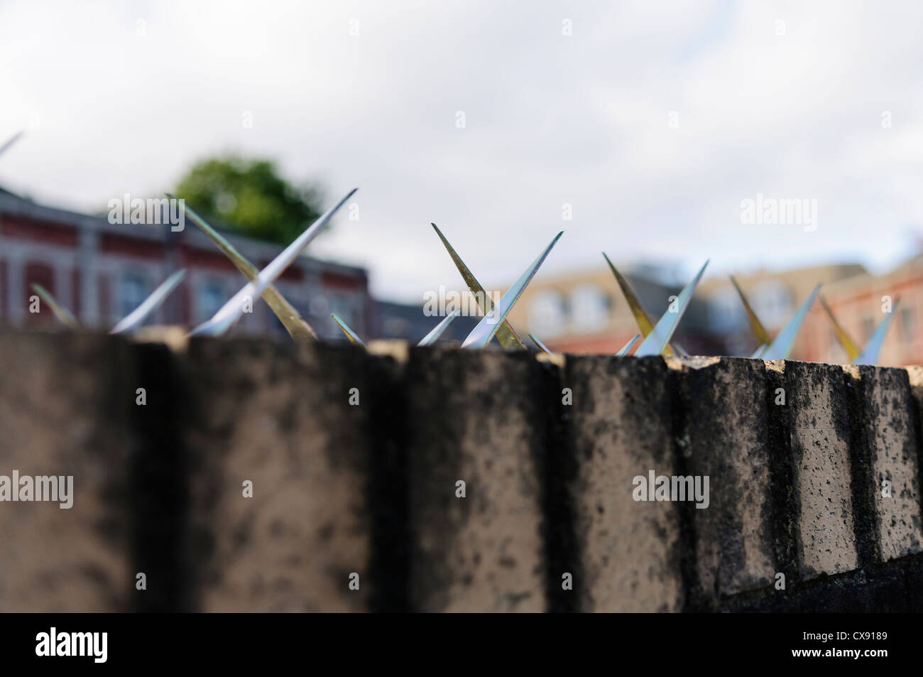 Chiodi di metallo sulla sommità di un muro per impedire che persone che salgono al di sopra Foto Stock