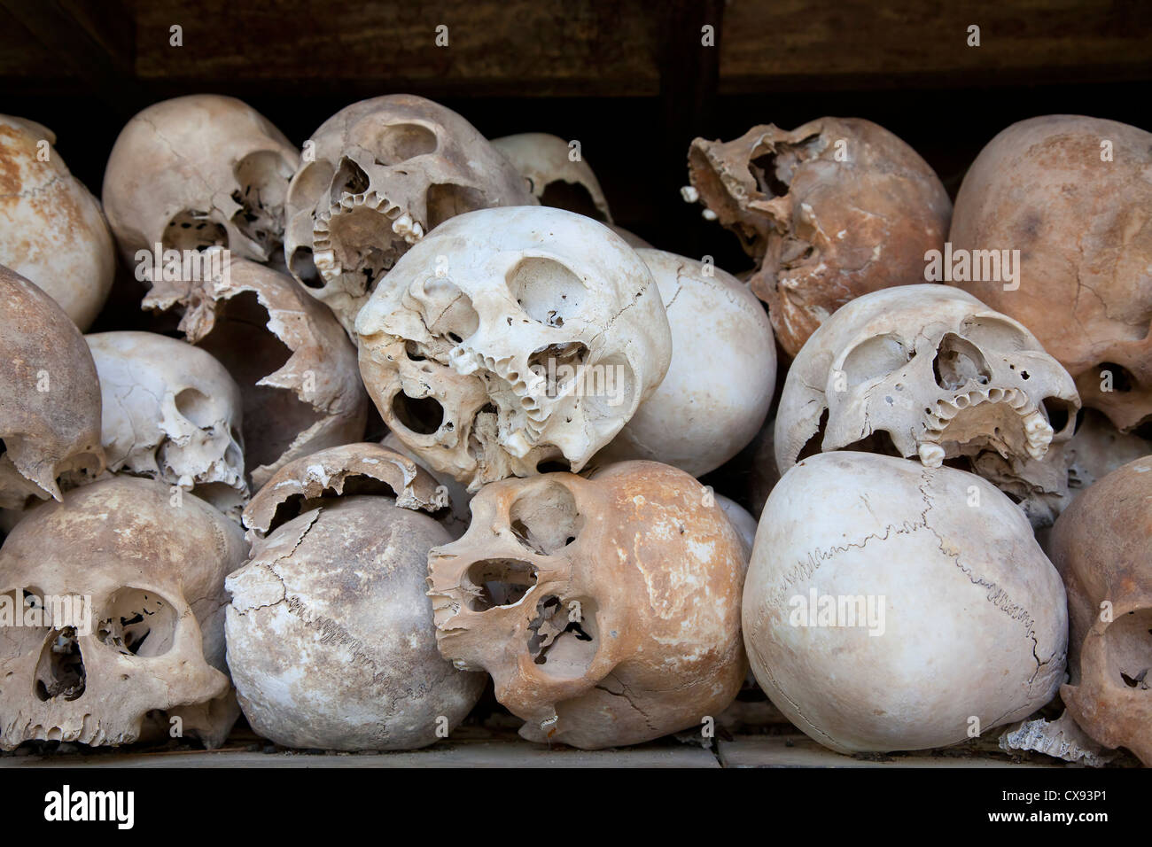 Resti umani, shulls a Choeung Ek centro assassina, a sud di Phnom Penh Cambogia. Foto Stock