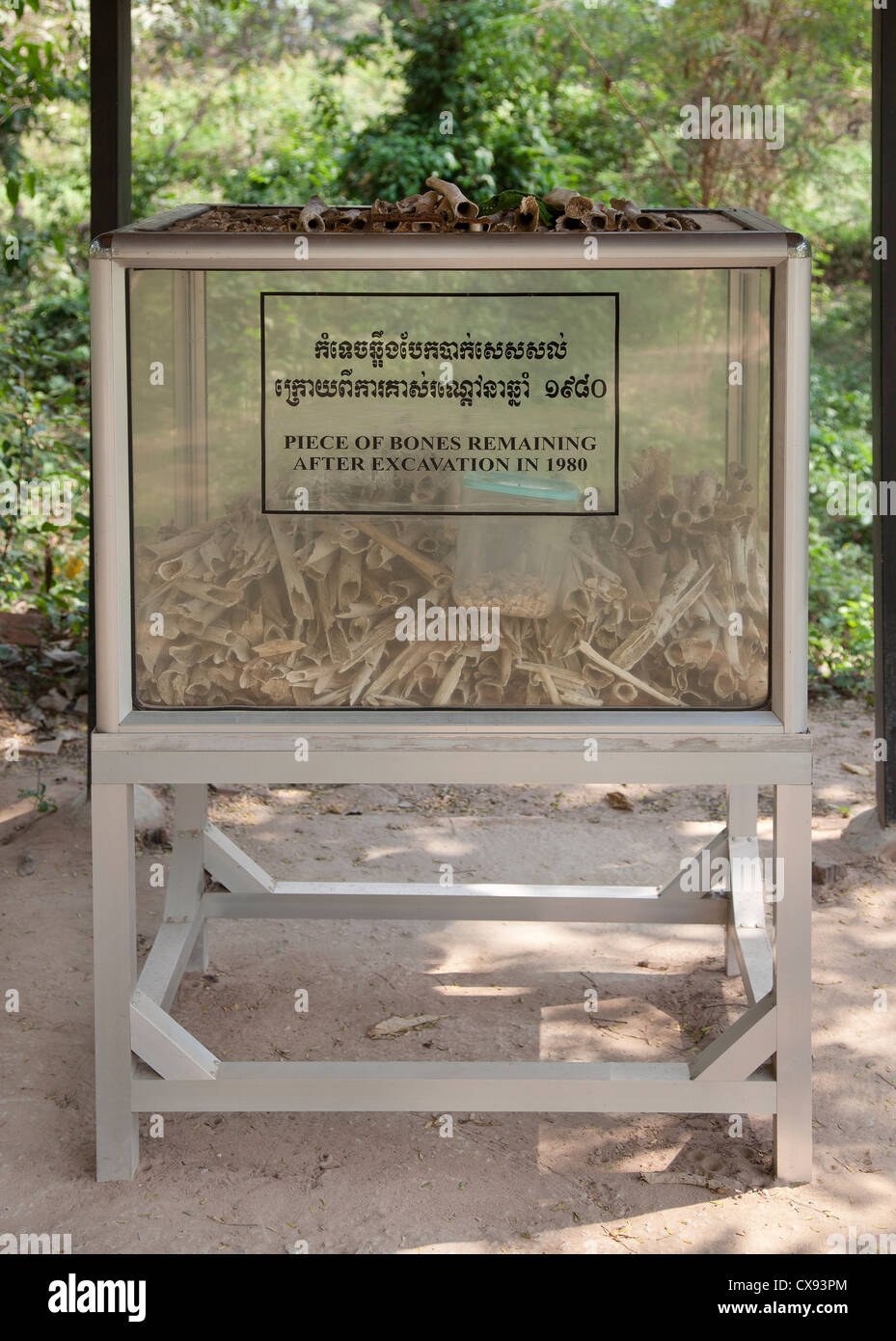 Resti umani bnes trovati a Choeung Ek centro assassina, Phnom Penh Cambogia Foto Stock