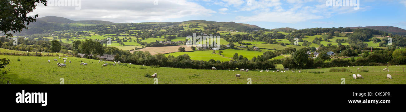 Allevamento di pecore, Conway, il Galles del Nord colline. Vista panoramica di verdi pascoli Foto Stock