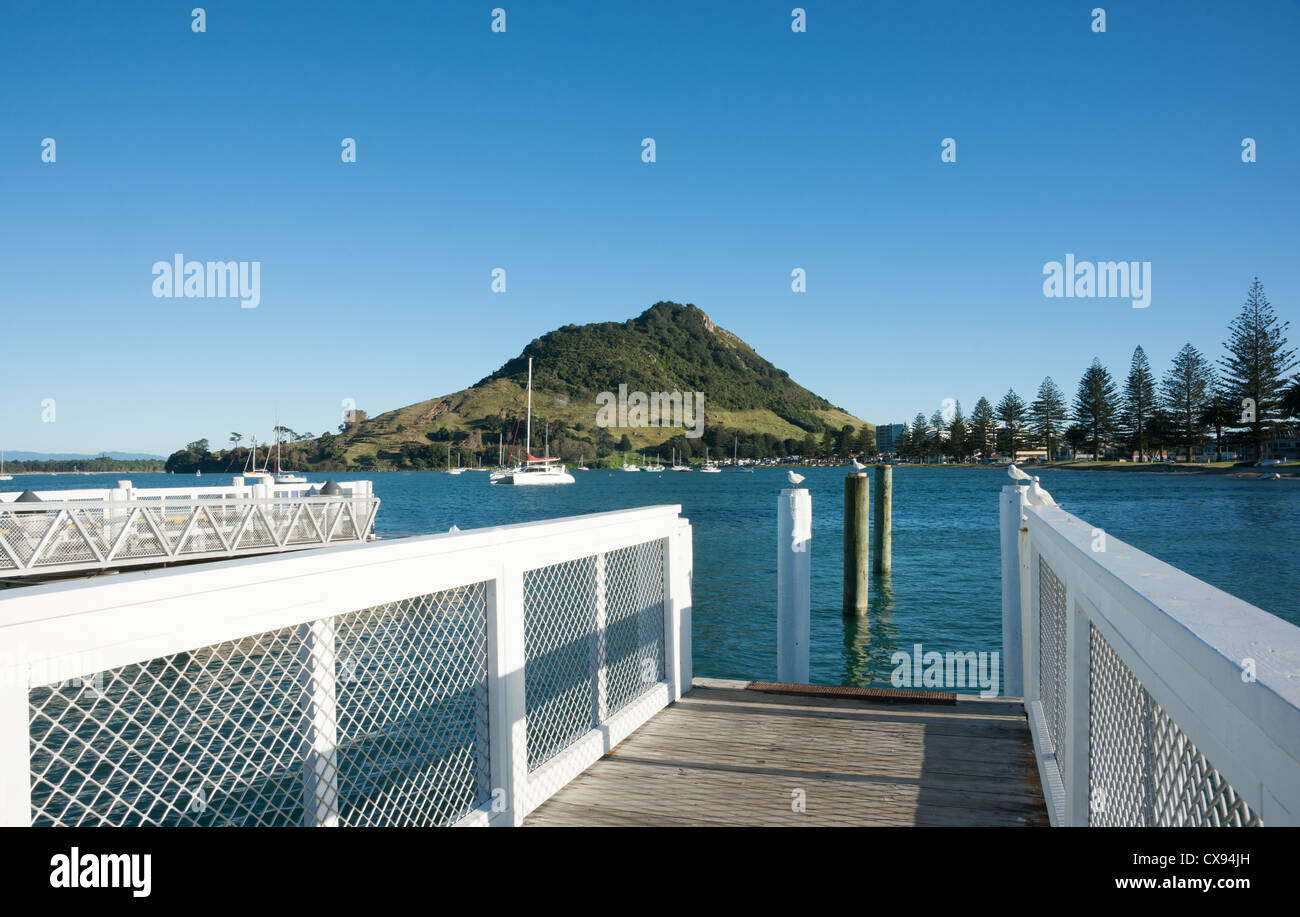 Mount Maunganui, scenario del porto. Tauranga, Baia di Planty, Nuova Zelanda. Foto Stock