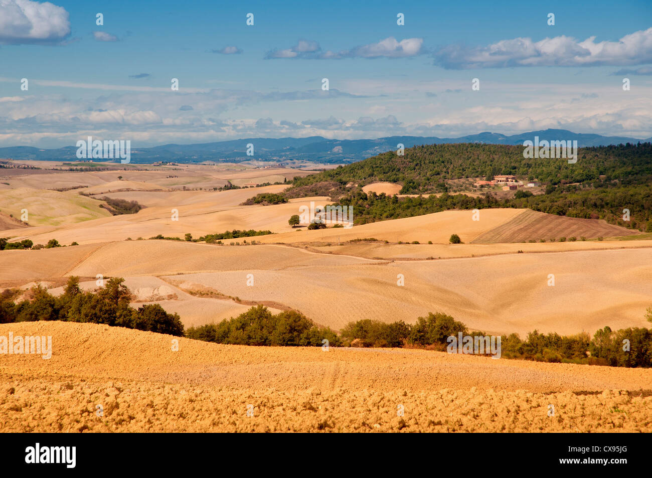 Tipico paesaggio toscano in autunno Foto Stock