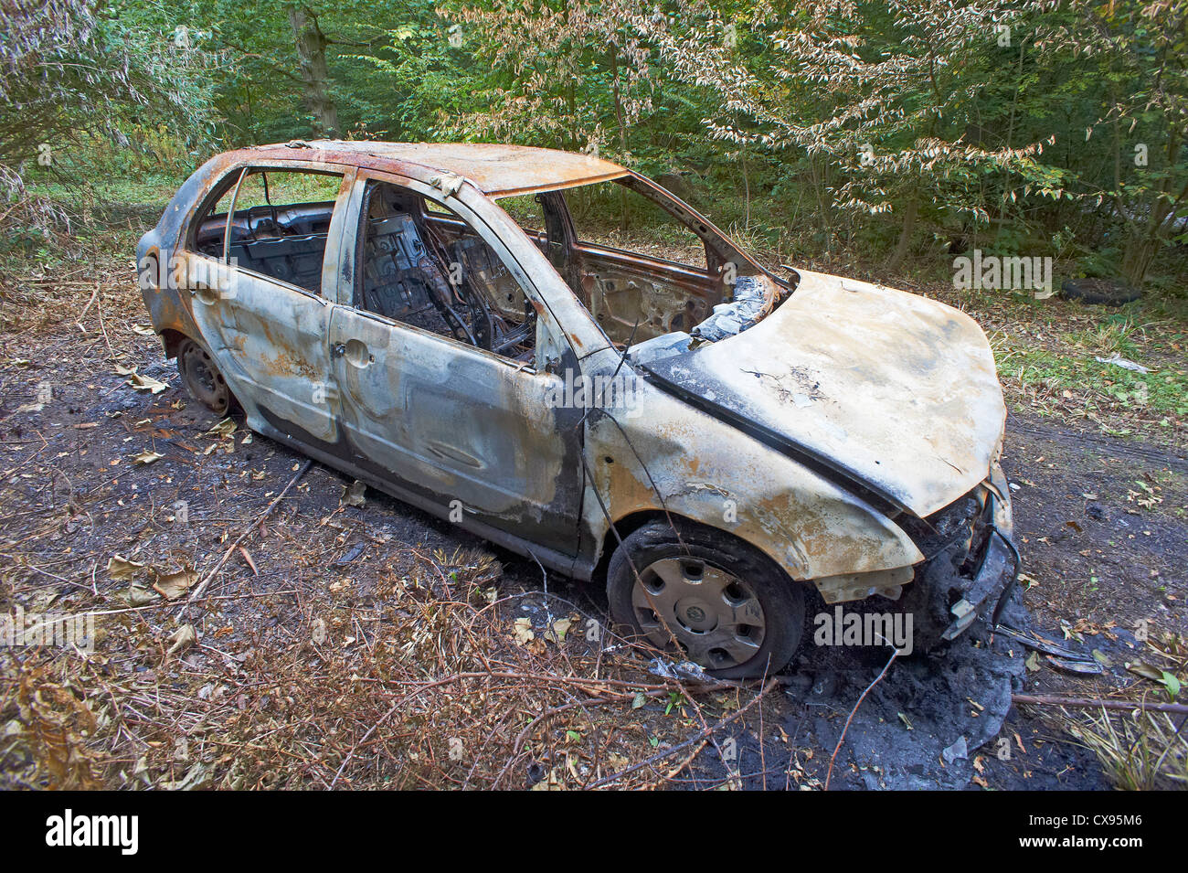 Bruciata auto nel bosco Foto Stock