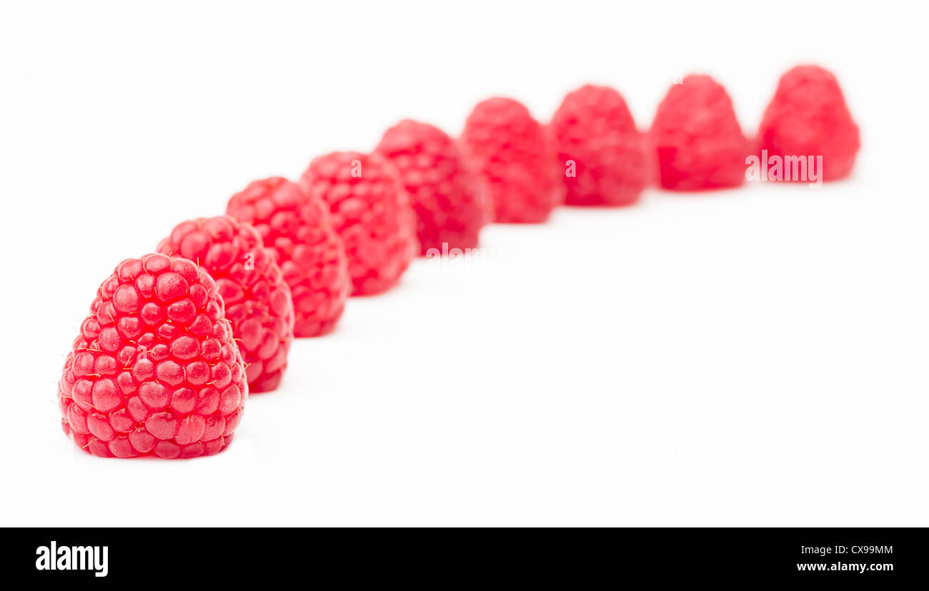 Fila di mature fresche Lamponi rosso su sfondo bianco Foto Stock