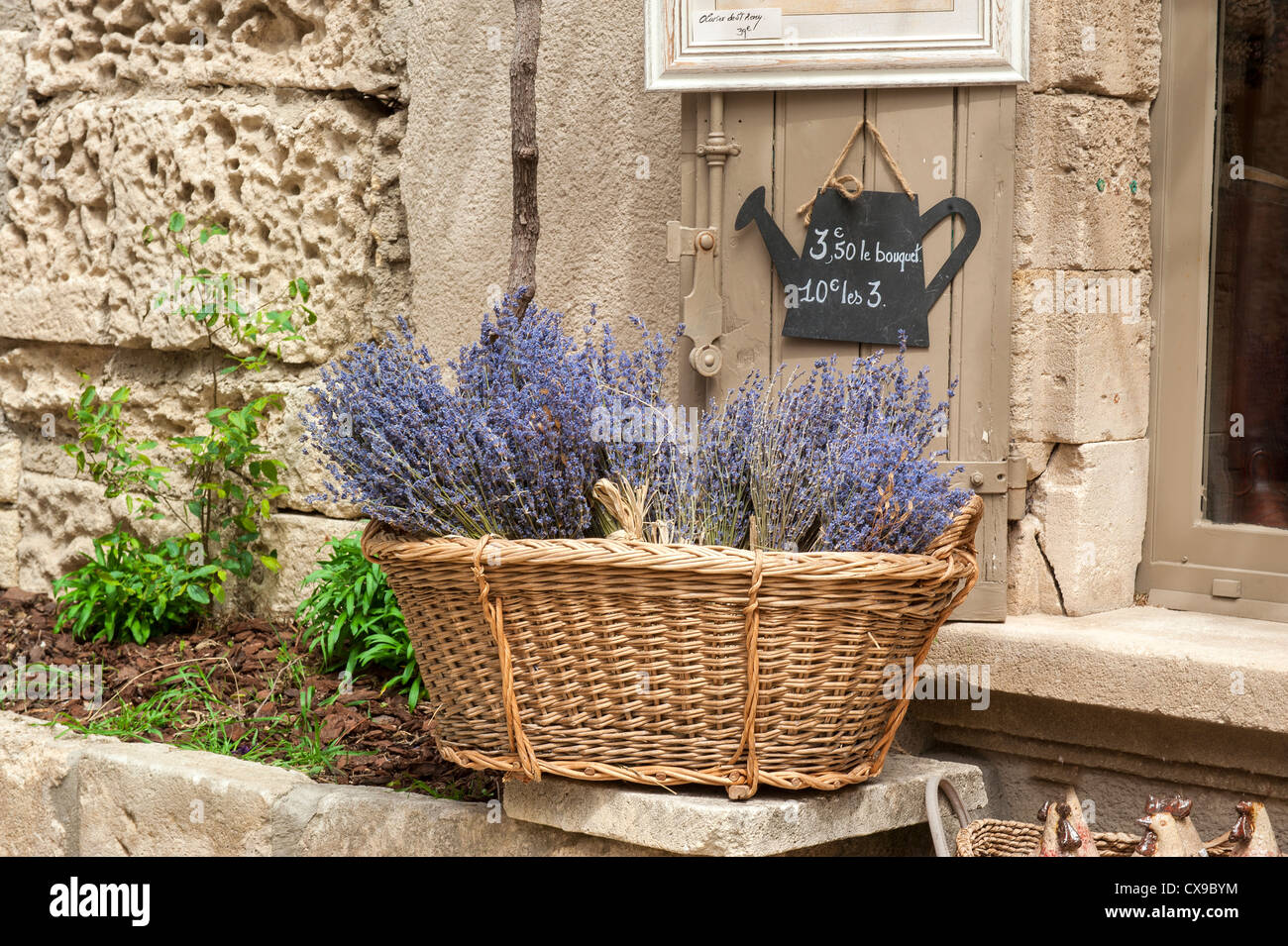 Les Baux de Provence village, cesto pieno di fiori di lavanda, Bouches du Rhône, Provenza, Francia Foto Stock