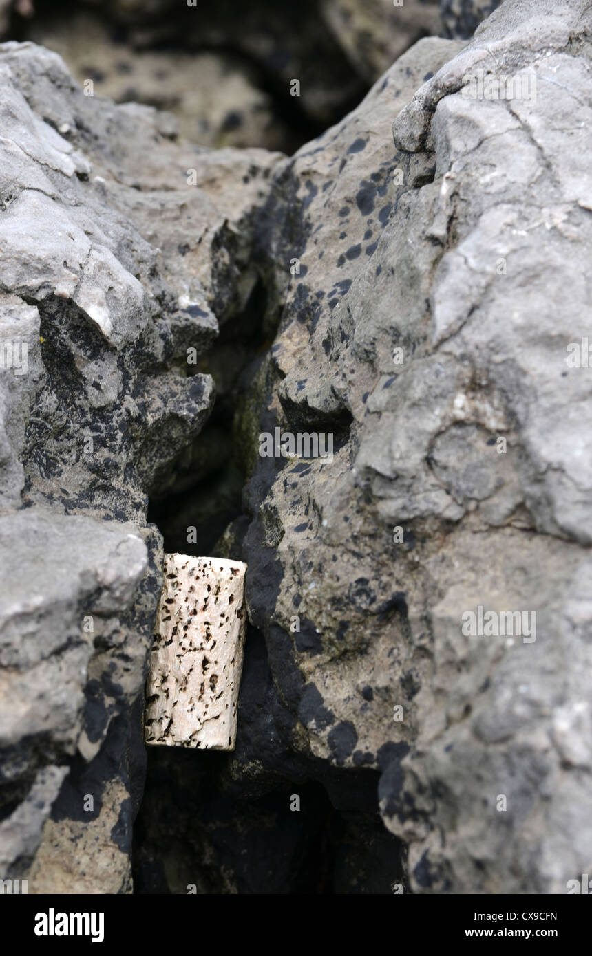 Tappo per bottiglia di vino flotsam intrappolato in rocce numero 3216 Foto Stock