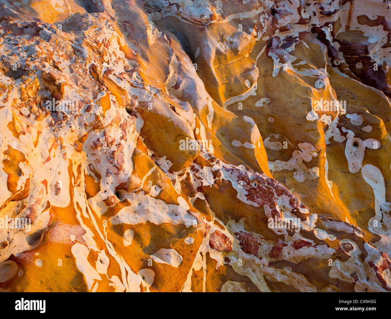 Luce calda del sole sulle rocce su Darwin della costa, Territorio del Nord, l'Australia Foto Stock