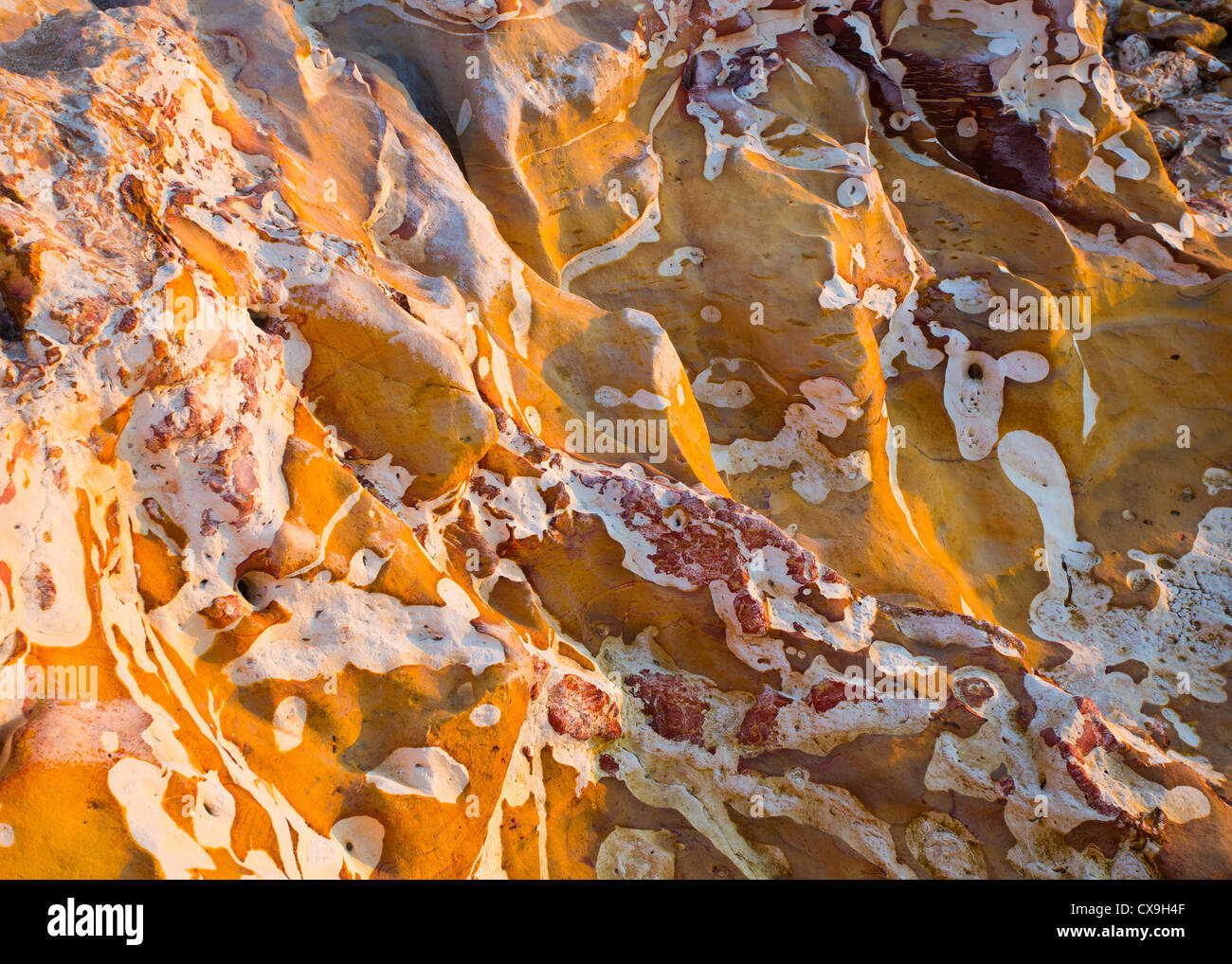 Luce calda del sole sulle rocce su Darwin della costa, Territorio del Nord, l'Australia Foto Stock