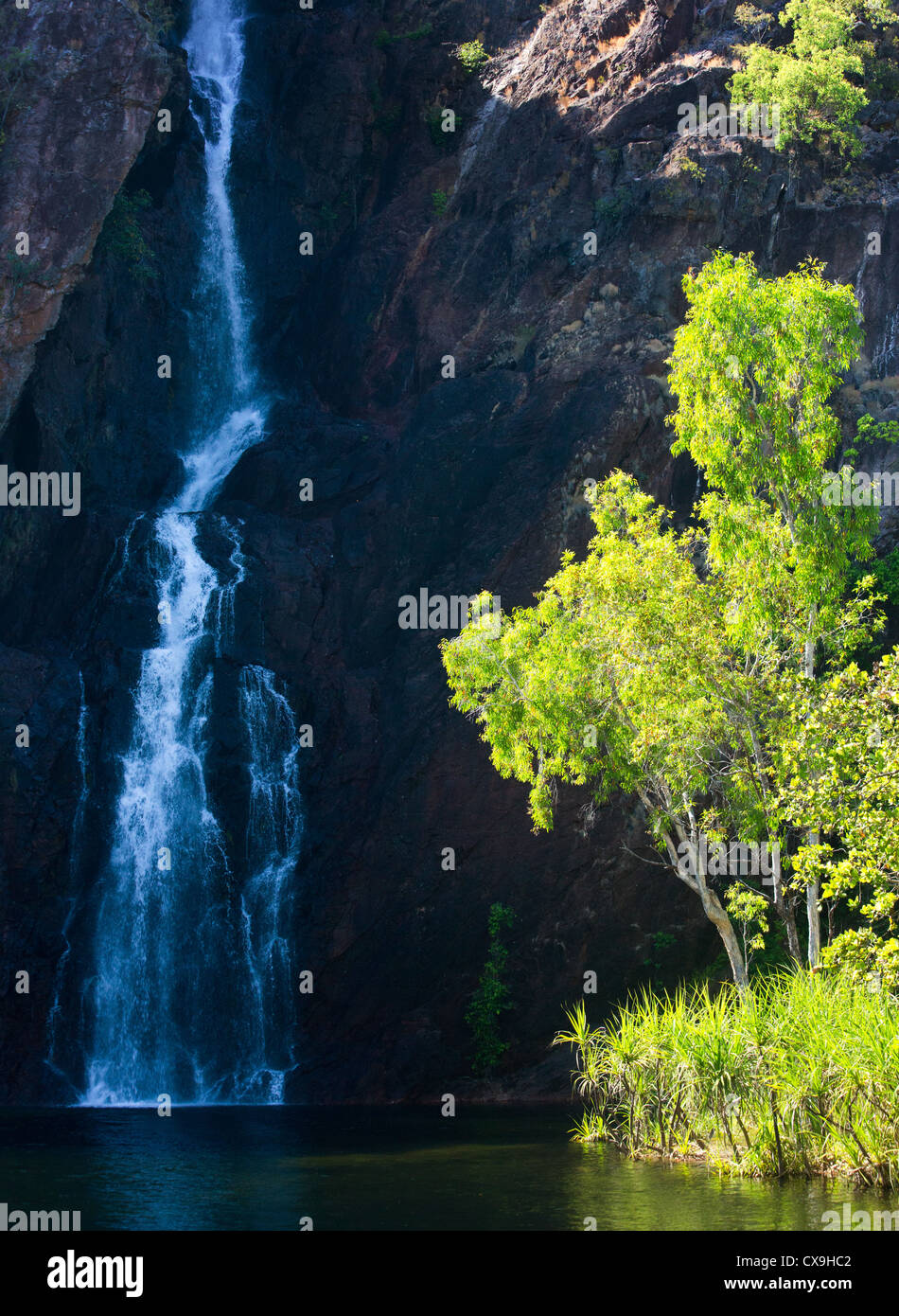 Wangi rientra nel Parco Nazionale di Litchfield, Territorio del Nord Foto Stock