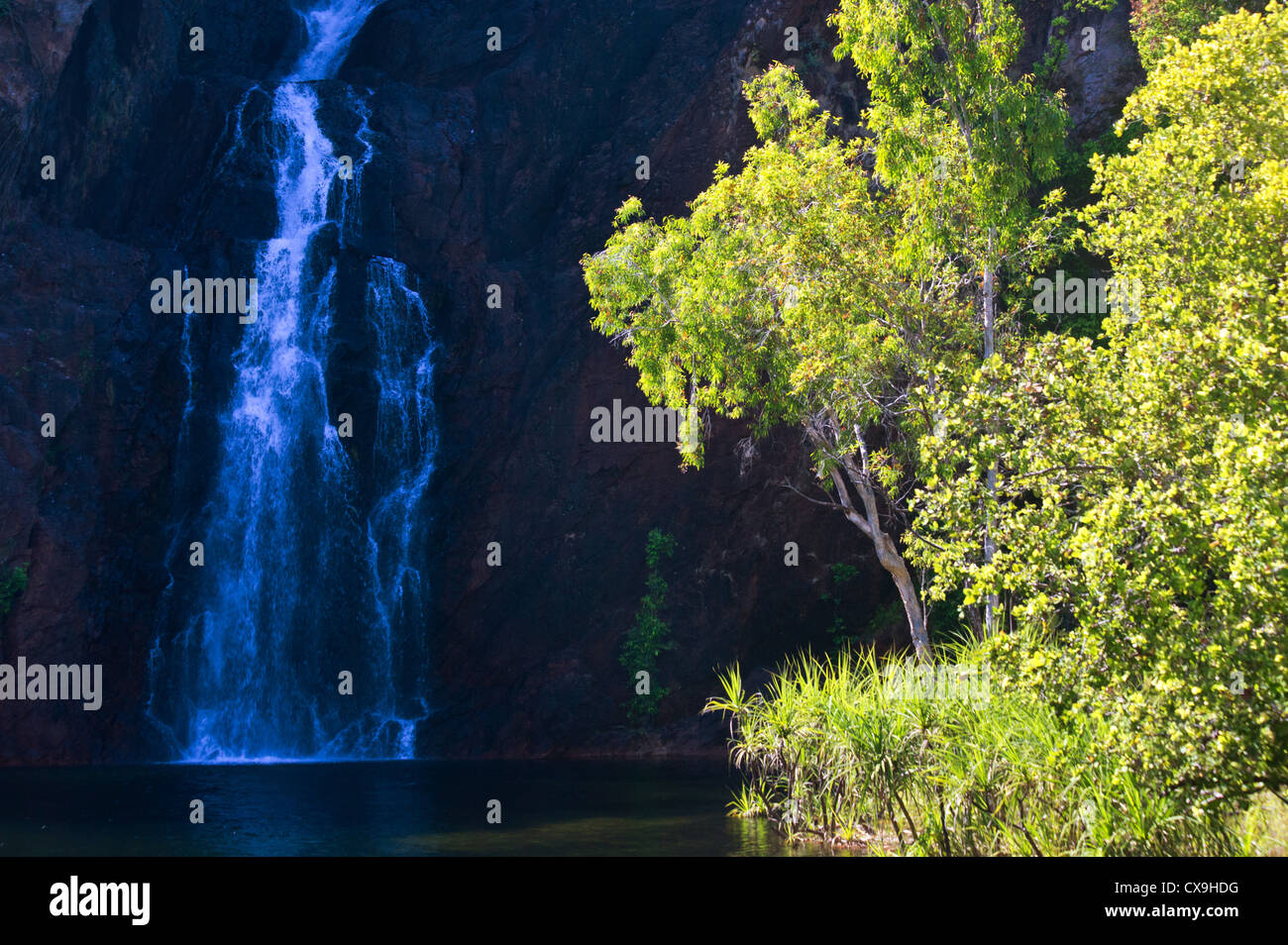 Wangi rientra nel Parco Nazionale di Litchfield, Territorio del Nord Foto Stock