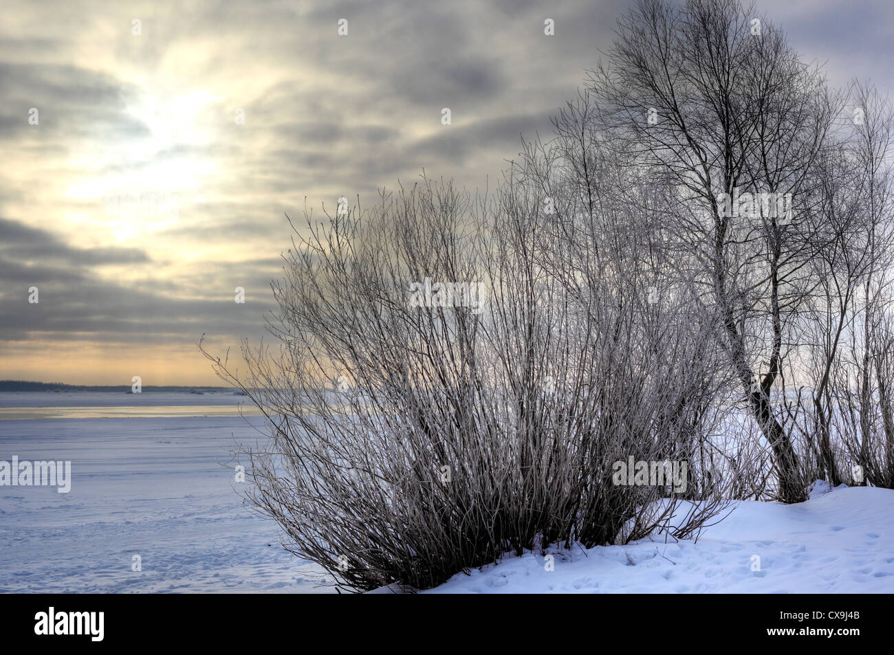 Paesaggio Di Inverno vicino Peryn Cappella, Veliky Novgorod, Novgorod, Russia Foto Stock