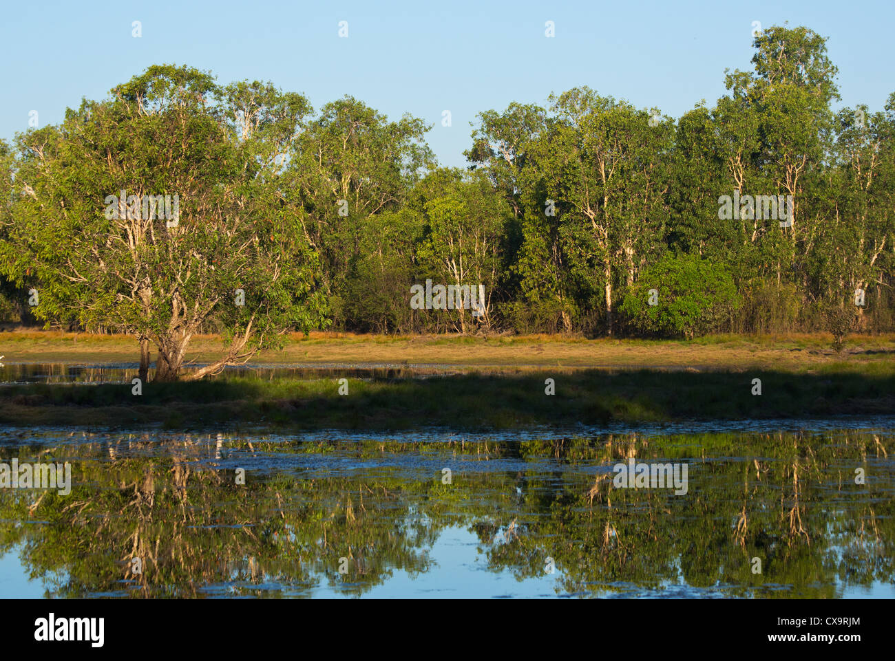 Anbangbang Billabong, Parco Nazionale Kakadu, Territorio del Nord Foto Stock