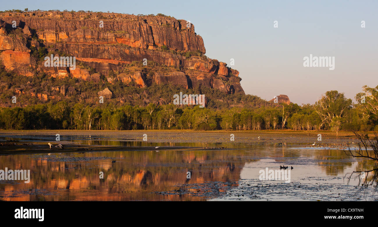 Nourlangie Rock, il Parco Nazionale Kakadu, Territorio del Nord Foto Stock