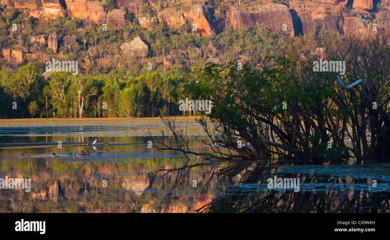 Anbangbang Billabong, Parco Nazionale Kakadu, Territorio del Nord Foto Stock