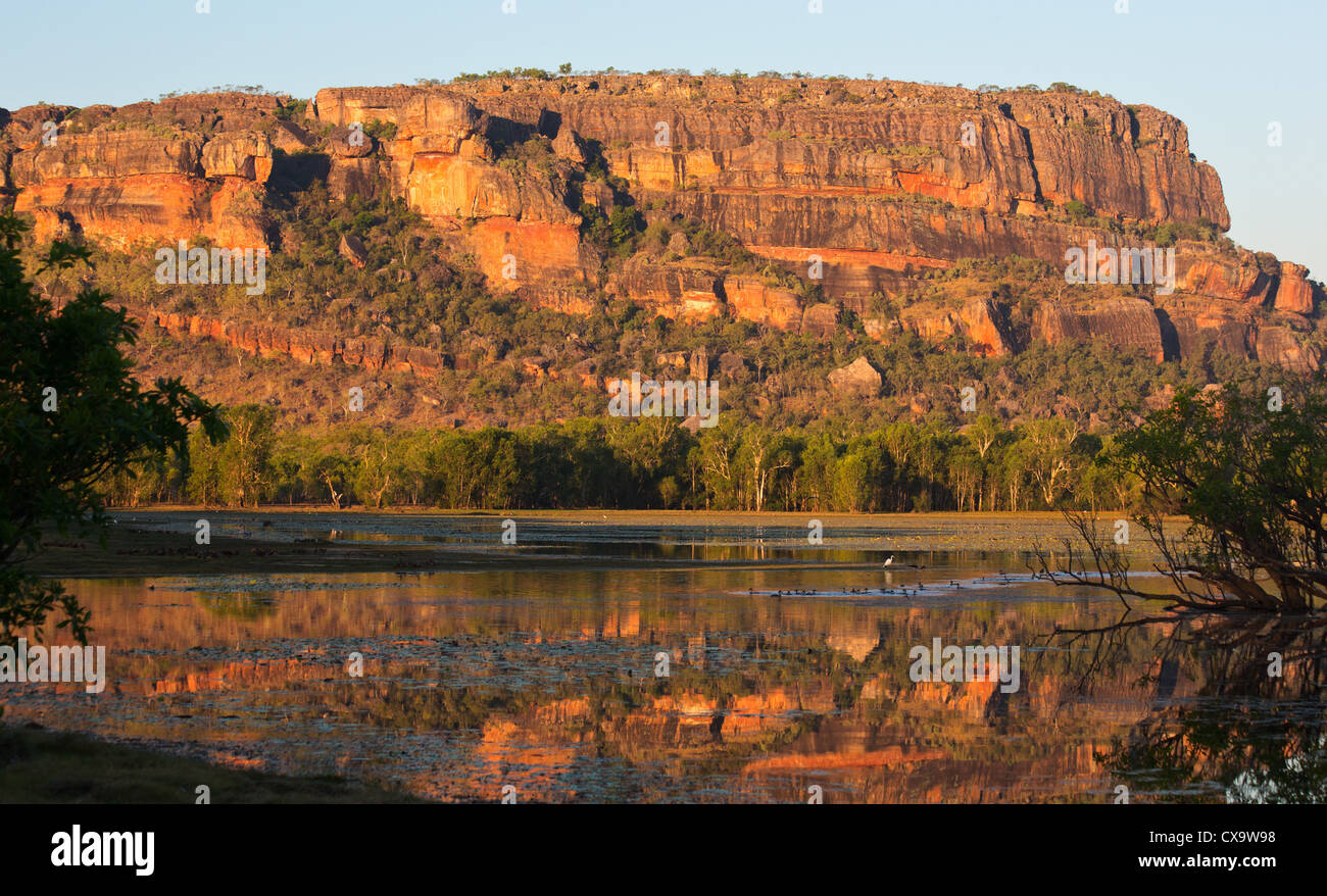 Nourlangie Rock, il Parco Nazionale Kakadu, Territorio del Nord Foto Stock