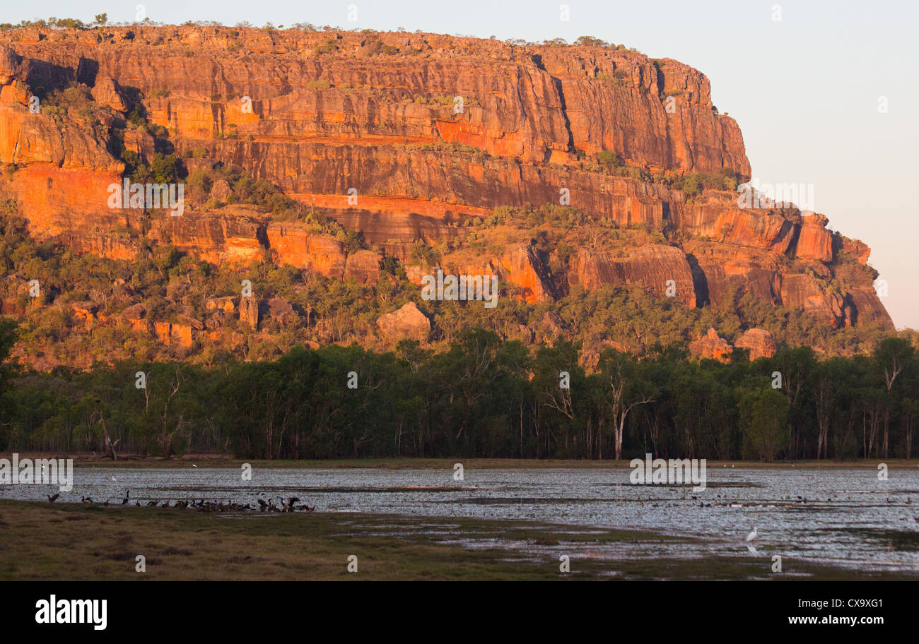 Nourlangie Rock, il Parco Nazionale Kakadu, Territorio del Nord Foto Stock