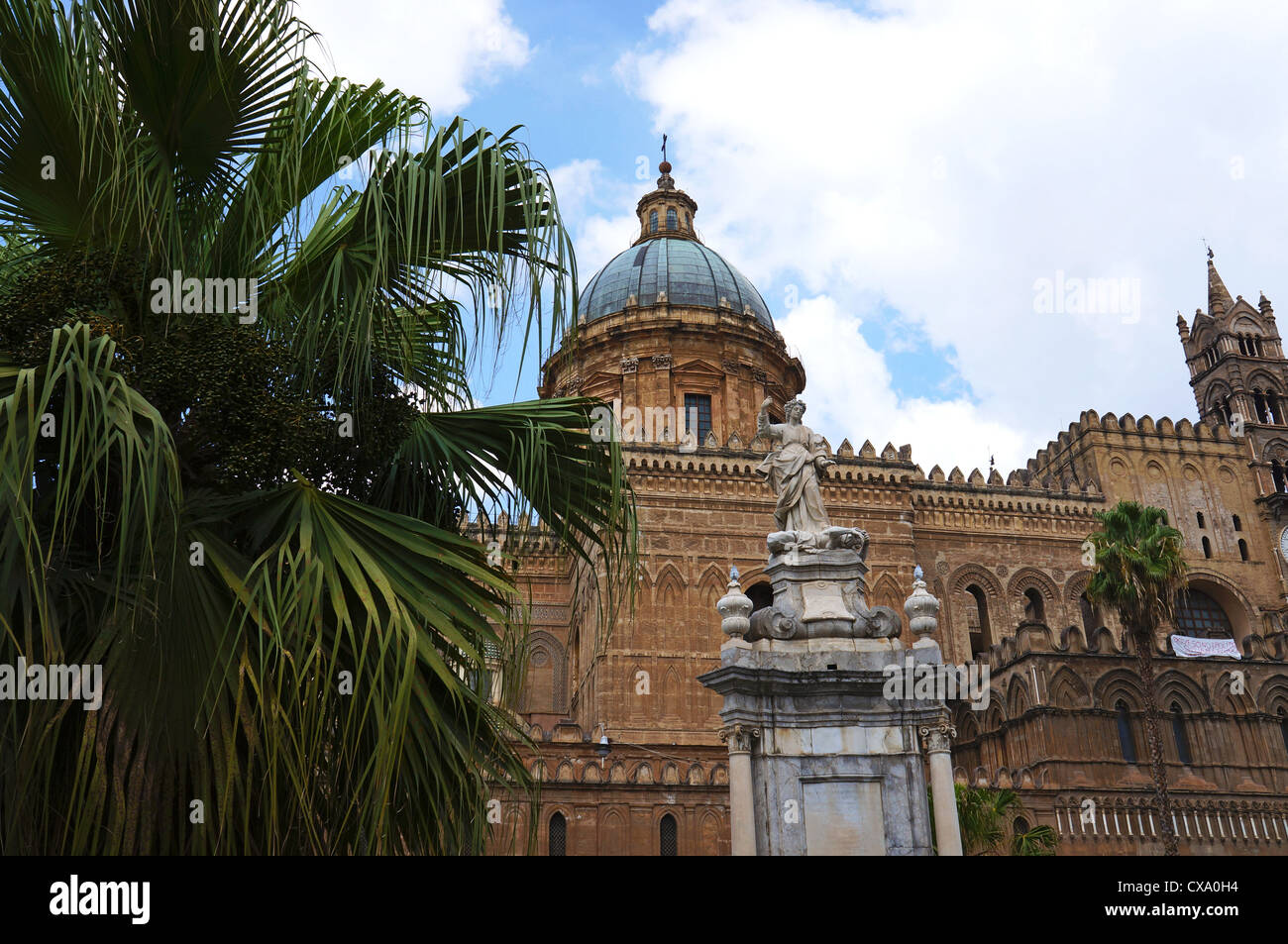 La facciata in stile gotico della Cattedrale di Palermo con un Palm tree sulla sinistra Foto Stock