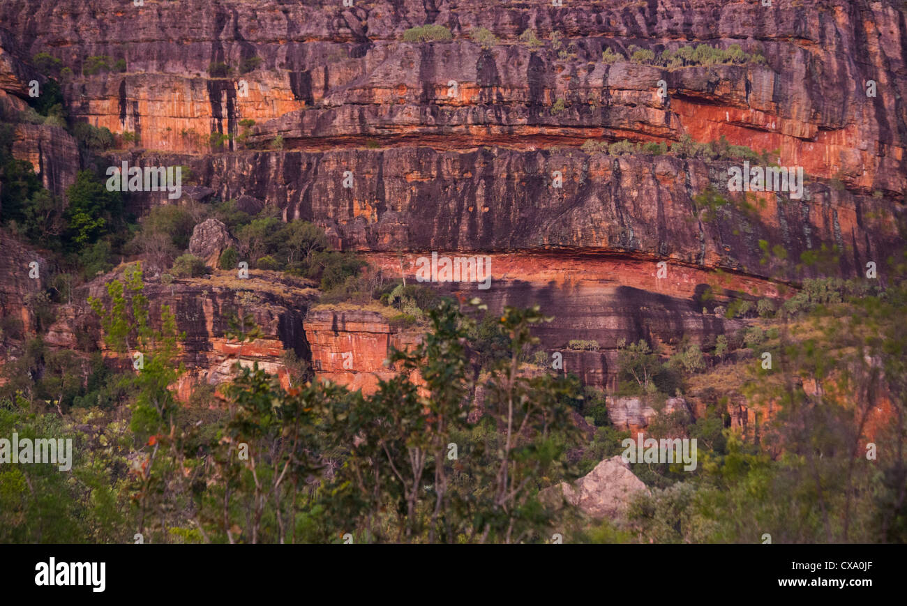 Nourlangie Rock, il Parco Nazionale Kakadu, Territorio del Nord Foto Stock