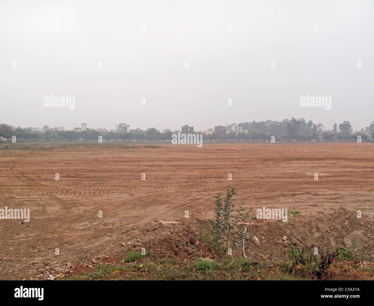 Un largo campo polveroso circondato da alberi ed edifici di distanza, con alcune piccole piante a destra nella parte anteriore. Foto Stock