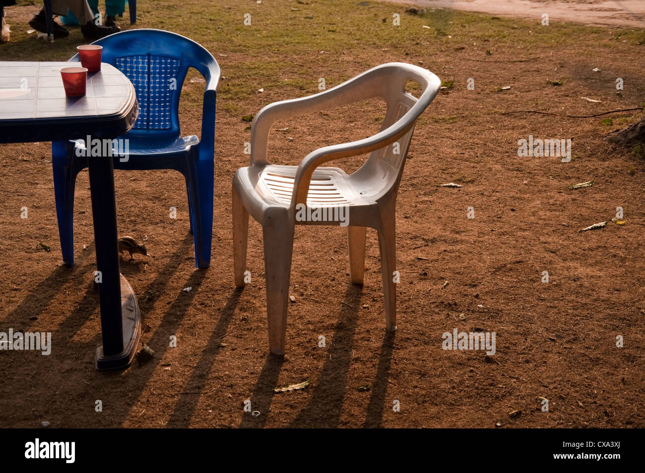 Tazze da caffè lungo con sedie e tavoli in una posizione tranquilla al tramonto. Queste sono in un cafe, con sedie di plastica e scoiattoli. Foto Stock