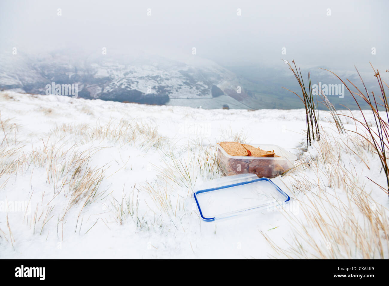 Casella di sandwich. Pranzo al sacco di panini in campagna durante l'inverno la neve. Appartenenti ad un escursionista, walker o rambler. Inghilterra, Regno Unito Foto Stock