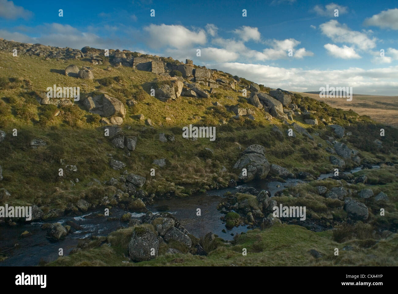 Il boulder disseminate di facciata ripida Valle dell'Oriente Dart River al di sopra di due ponti, Parco Nazionale di Dartmoor, Devon, Inghilterra. Foto Stock