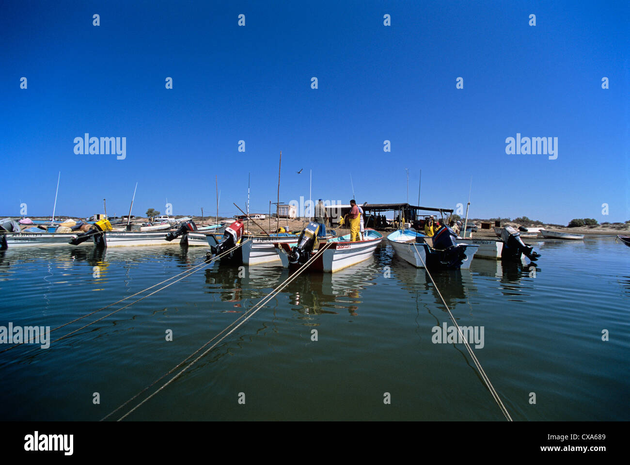 Porto di pesca per reti da imbrocco pescatori. Huatabampo, Messico, Mare di Cortez, Oceano Pacifico Foto Stock